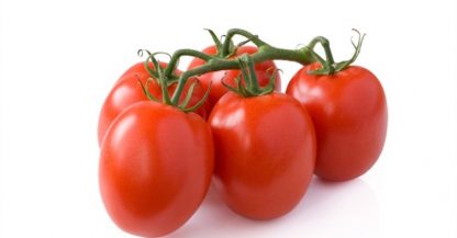 Tomato - Roma
